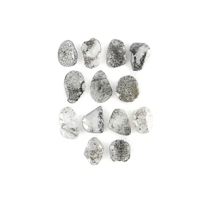 1.01 Ct Natural Loose Slice Shape Diamond Slice Salt And Pepper Diamond 3.05 MM Slice Natural Loose Diamond Slice Black Grey Dia